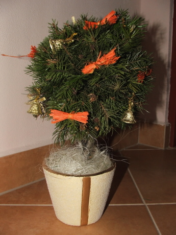 DSCF8349.jpg